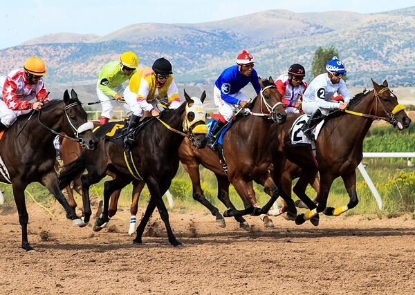 The Complete Beginner’s Guide to Sports Betting